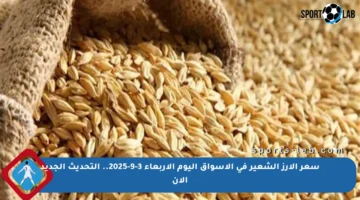سعر الأرز الشعير في الأسواق اليوم الأربعاء 3-9-2025.. التحديث الجديد الآن